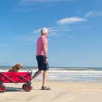5 Best Beach Wagon Cart for Sand 2018